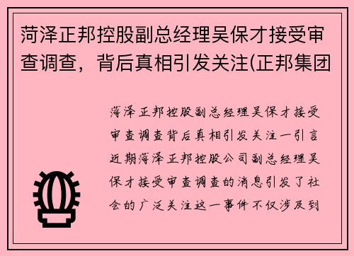 菏泽正邦控股副总经理吴保才接受审查调查，背后真相引发关注(正邦集团总经理吴志军)