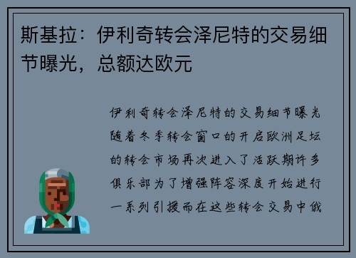 斯基拉：伊利奇转会泽尼特的交易细节曝光，总额达欧元